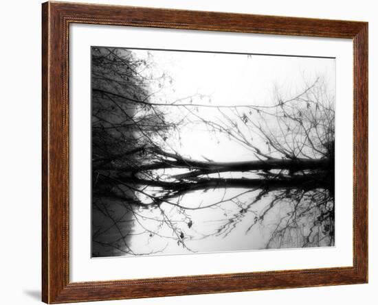 Toppoint-Sharon Wish-Framed Photographic Print