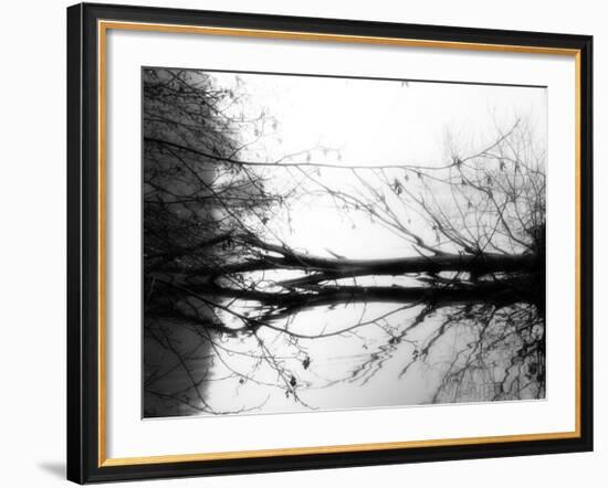 Toppoint-Sharon Wish-Framed Photographic Print