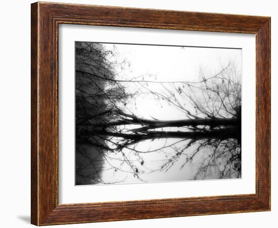 Toppoint-Sharon Wish-Framed Photographic Print