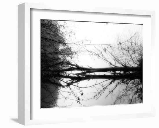 Toppoint-Sharon Wish-Framed Photographic Print