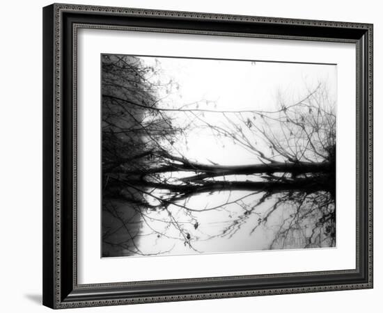 Toppoint-Sharon Wish-Framed Photographic Print