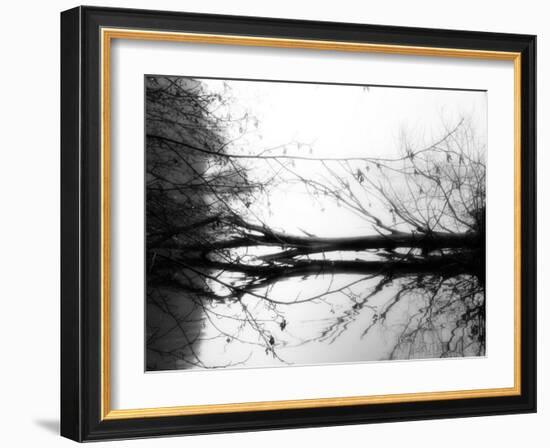 Toppoint-Sharon Wish-Framed Photographic Print