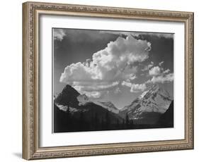 Tops Of Pine Trees Snow Covered "In Glacier National Park" Montana. 1933-1942-Ansel Adams-Framed Art Print