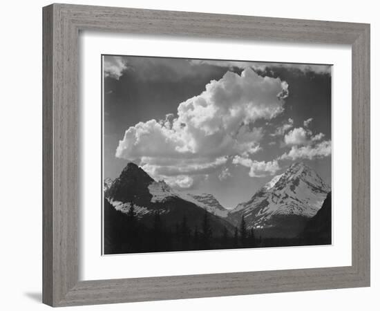 Tops Of Pine Trees Snow Covered "In Glacier National Park" Montana. 1933-1942-Ansel Adams-Framed Art Print