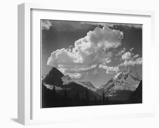 Tops Of Pine Trees Snow Covered "In Glacier National Park" Montana. 1933-1942-Ansel Adams-Framed Art Print