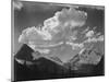 Tops Of Pine Trees Snow Covered "In Glacier National Park" Montana. 1933-1942-Ansel Adams-Mounted Art Print