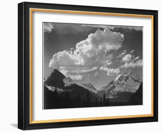 Tops Of Pine Trees Snow Covered "In Glacier National Park" Montana. 1933-1942-Ansel Adams-Framed Art Print