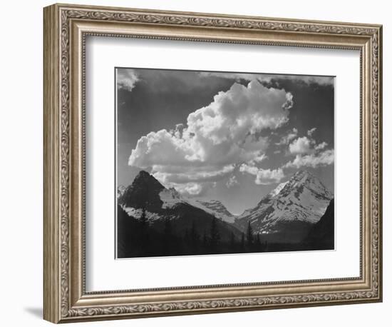 Tops Of Pine Trees Snow Covered "In Glacier National Park" Montana. 1933-1942-Ansel Adams-Framed Art Print