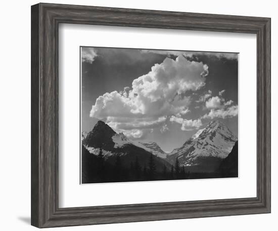 Tops Of Pine Trees Snow Covered "In Glacier National Park" Montana. 1933-1942-Ansel Adams-Framed Art Print