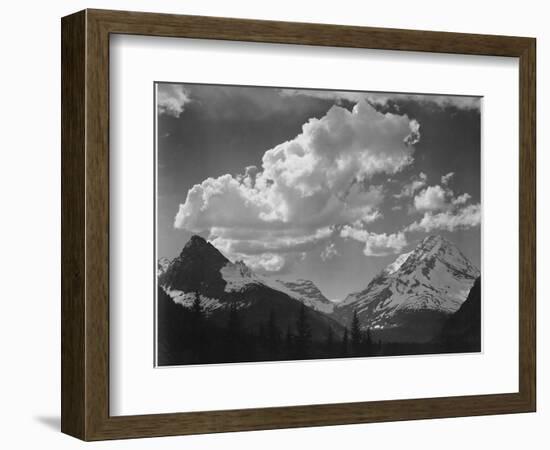 Tops Of Pine Trees Snow Covered "In Glacier National Park" Montana. 1933-1942-Ansel Adams-Framed Art Print