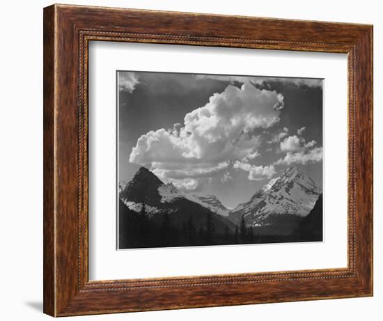 Tops Of Pine Trees Snow Covered "In Glacier National Park" Montana. 1933-1942-Ansel Adams-Framed Art Print