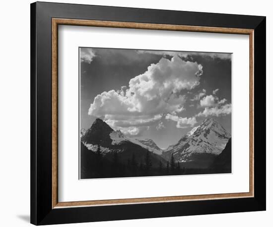 Tops Of Pine Trees Snow Covered "In Glacier National Park" Montana. 1933-1942-Ansel Adams-Framed Art Print