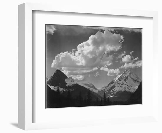 Tops Of Pine Trees Snow Covered "In Glacier National Park" Montana. 1933-1942-Ansel Adams-Framed Art Print