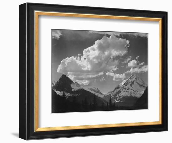 Tops Of Pine Trees Snow Covered "In Glacier National Park" Montana. 1933-1942-Ansel Adams-Framed Art Print