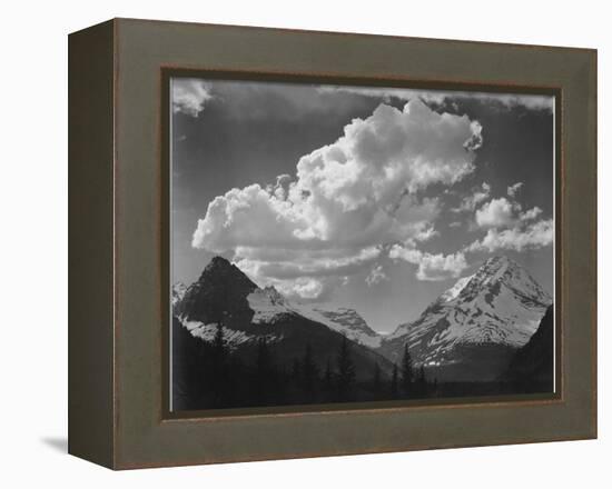 Tops Of Pine Trees Snow Covered "In Glacier National Park" Montana. 1933-1942-Ansel Adams-Framed Stretched Canvas