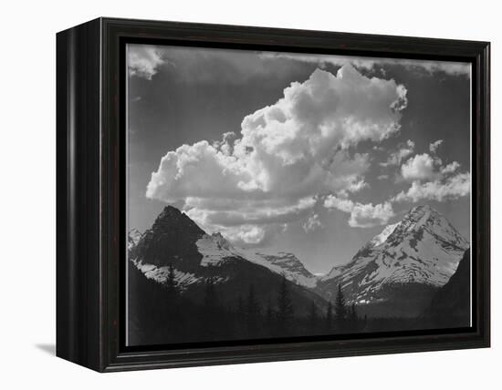 Tops Of Pine Trees Snow Covered "In Glacier National Park" Montana. 1933-1942-Ansel Adams-Framed Stretched Canvas