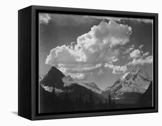 Tops Of Pine Trees Snow Covered "In Glacier National Park" Montana. 1933-1942-Ansel Adams-Framed Stretched Canvas