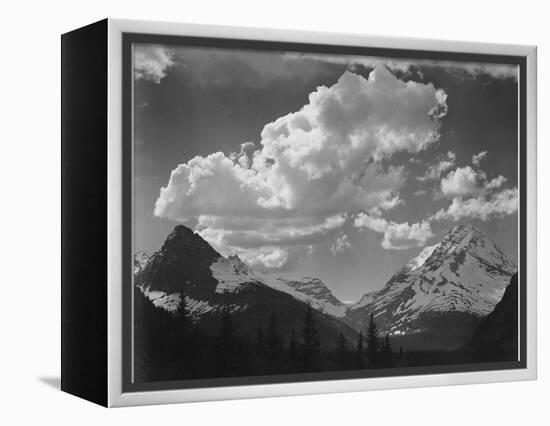 Tops Of Pine Trees Snow Covered "In Glacier National Park" Montana. 1933-1942-Ansel Adams-Framed Stretched Canvas