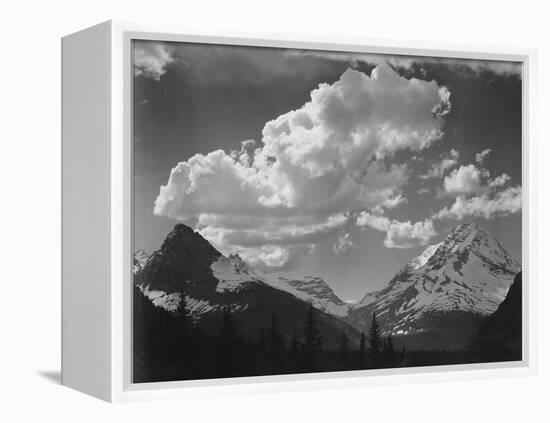 Tops Of Pine Trees Snow Covered "In Glacier National Park" Montana. 1933-1942-Ansel Adams-Framed Stretched Canvas