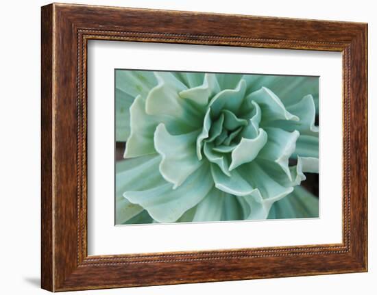 Topsy Turvy-Michael Hudson-Framed Art Print