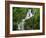 Torc Waterfall at Killarney, County Kerry, Munster, Eire, Europe-Rainford Roy-Framed Photographic Print