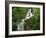 Torc Waterfall at Killarney, County Kerry, Munster, Eire, Europe-Rainford Roy-Framed Photographic Print