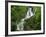 Torc Waterfall at Killarney, County Kerry, Munster, Eire, Europe-Rainford Roy-Framed Photographic Print