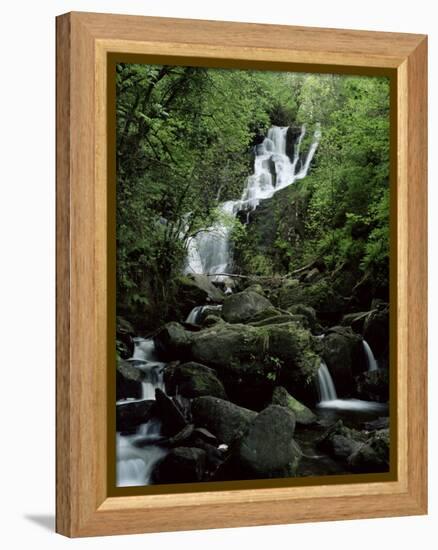 Torc Waterfall, Killarney, County Kerry, Munster, Eire (Republic of Ireland)-Roy Rainford-Framed Premier Image Canvas