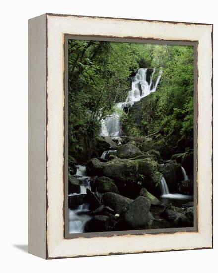 Torc Waterfall, Killarney, County Kerry, Munster, Eire (Republic of Ireland)-Roy Rainford-Framed Premier Image Canvas