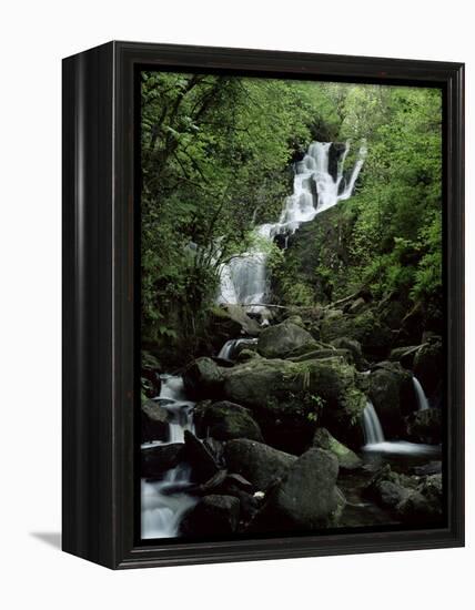 Torc Waterfall, Killarney, County Kerry, Munster, Eire (Republic of Ireland)-Roy Rainford-Framed Premier Image Canvas