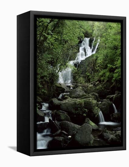 Torc Waterfall, Killarney, County Kerry, Munster, Eire (Republic of Ireland)-Roy Rainford-Framed Premier Image Canvas