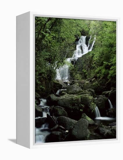 Torc Waterfall, Killarney, County Kerry, Munster, Eire (Republic of Ireland)-Roy Rainford-Framed Premier Image Canvas