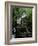 Torc Waterfall, Killarney, County Kerry, Munster, Eire (Republic of Ireland)-Roy Rainford-Framed Photographic Print