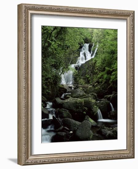 Torc Waterfall, Killarney, County Kerry, Munster, Eire (Republic of Ireland)-Roy Rainford-Framed Photographic Print