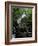 Torc Waterfall, Killarney, County Kerry, Munster, Eire (Republic of Ireland)-Roy Rainford-Framed Photographic Print