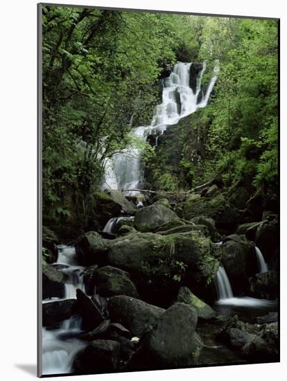 Torc Waterfall, Killarney, County Kerry, Munster, Eire (Republic of Ireland)-Roy Rainford-Mounted Photographic Print