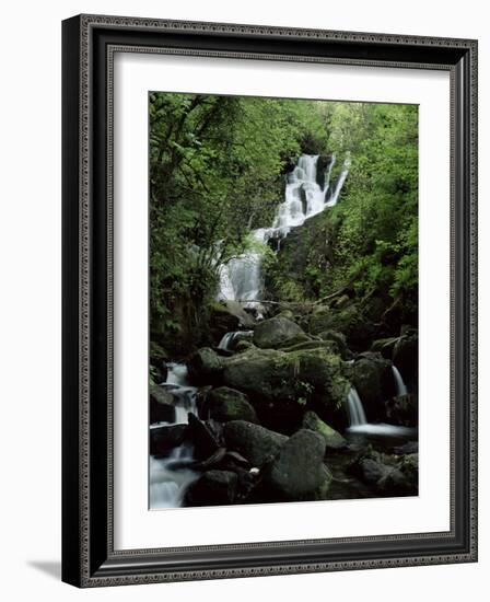 Torc Waterfall, Killarney, County Kerry, Munster, Eire (Republic of Ireland)-Roy Rainford-Framed Photographic Print