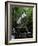 Torc Waterfall, Killarney, County Kerry, Munster, Eire (Republic of Ireland)-Roy Rainford-Framed Photographic Print