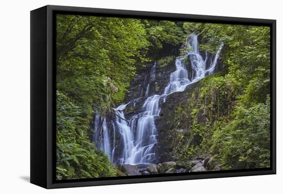 Torc Waterfall, Killarney National Park, near Killarney, County Kerry, Munster, Republic of Ireland-Nigel Hicks-Framed Premier Image Canvas