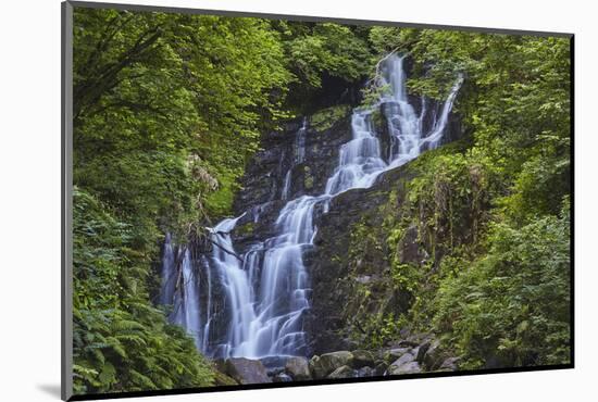 Torc Waterfall, Killarney National Park, near Killarney, County Kerry, Munster, Republic of Ireland-Nigel Hicks-Mounted Photographic Print