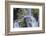 Torc Waterfall, Killarney National Park, near Killarney, County Kerry, Munster, Republic of Ireland-Nigel Hicks-Framed Photographic Print