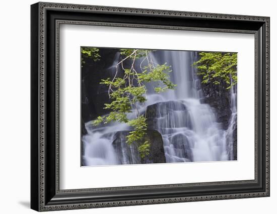 Torc Waterfall, Killarney National Park, near Killarney, County Kerry, Munster, Republic of Ireland-Nigel Hicks-Framed Photographic Print