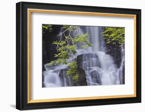 Torc Waterfall, Killarney National Park, near Killarney, County Kerry, Munster, Republic of Ireland-Nigel Hicks-Framed Photographic Print