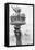 Torch of Statue of Liberty, 1885-Science Source-Framed Premier Image Canvas