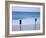 Torches on Beach, Grace Bay, Providenciales, Turks and Caicos-Demetrio Carrasco-Framed Photographic Print