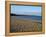 Torcross Village, Slapton Ley Sands, South Hams, Devon, England, United Kingdom, Europe-David Hughes-Framed Premier Image Canvas