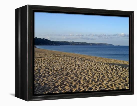 Torcross Village, Slapton Ley Sands, South Hams, Devon, England, United Kingdom, Europe-David Hughes-Framed Premier Image Canvas