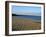 Torcross Village, Slapton Ley Sands, South Hams, Devon, England, United Kingdom, Europe-David Hughes-Framed Photographic Print