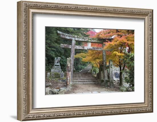 Torii Gate and Steps of Daisho-In Temple in Autumn, Miyajima Island, Western Honshu, Japan-Stuart Black-Framed Photographic Print