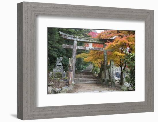 Torii Gate and Steps of Daisho-In Temple in Autumn, Miyajima Island, Western Honshu, Japan-Stuart Black-Framed Photographic Print